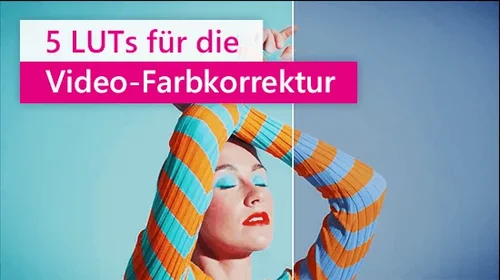 5 LUTs für die Farbkorrektur