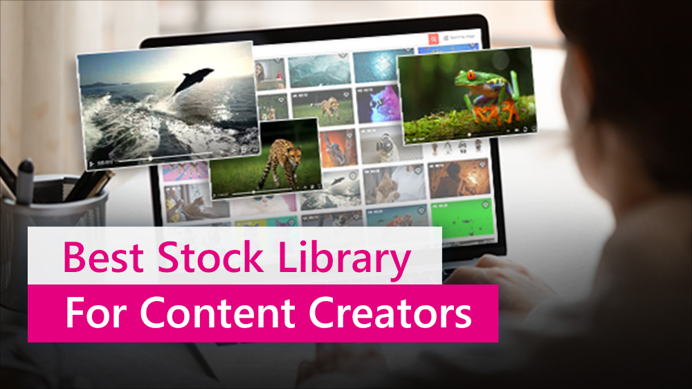 Best Royalty-Free Stock Video, Photo, and Music Library (2022)