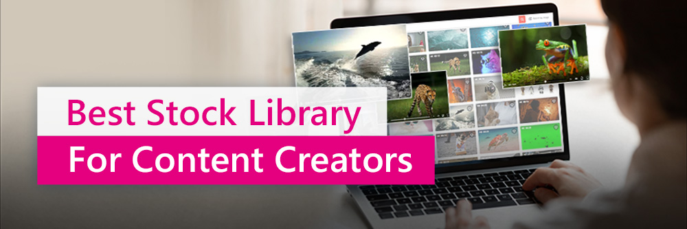 Best Royalty-Free Stock Media Library Websites