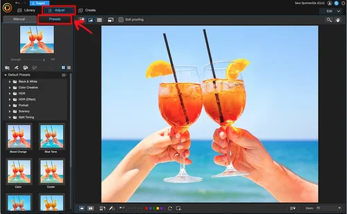 PhotoDirector Interface - Filter Presets