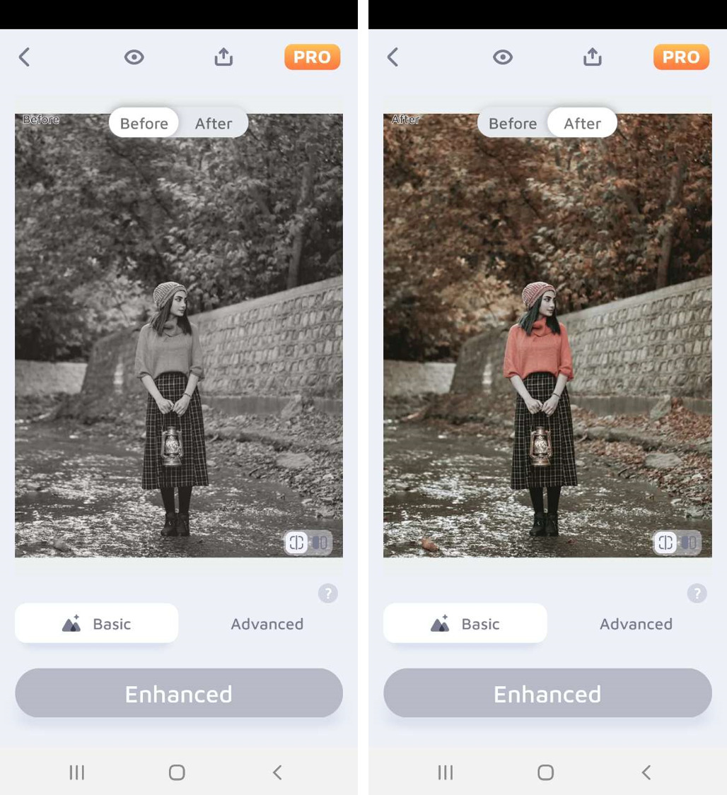 Enhance Fox - Application montage photo
