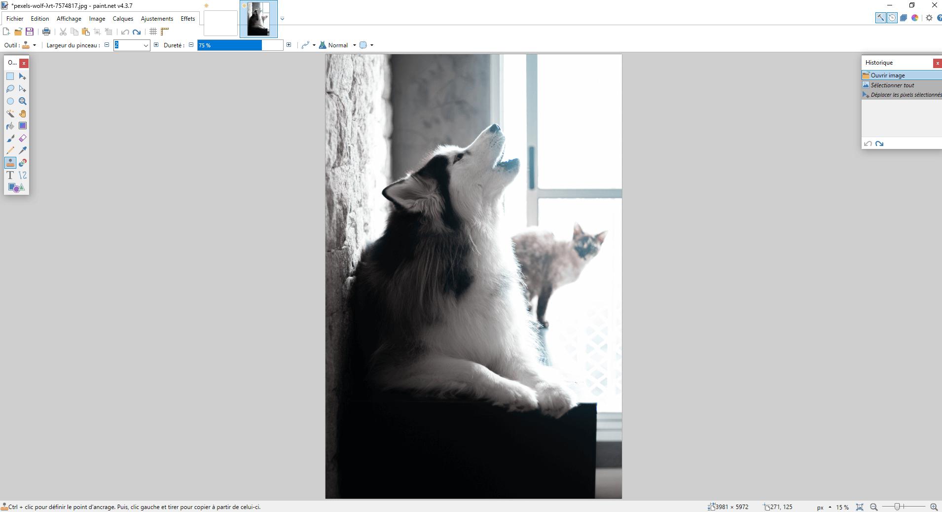 Paint