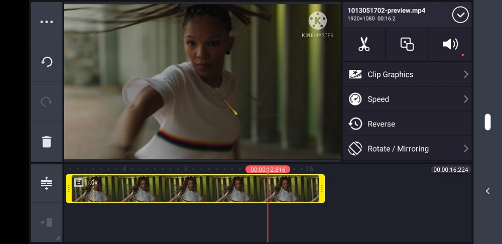 KineMaster App Interface