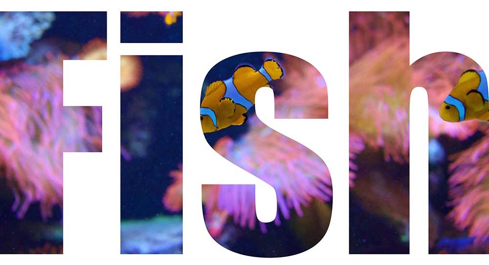 Text masks like this allow you to show your video footage within the text itself.
