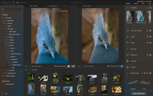 Picktorial Interface