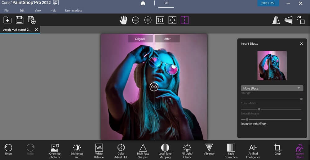 Paintshop Pro Interface