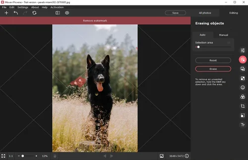Movavi Picverse interface - Logiciel de montage photo