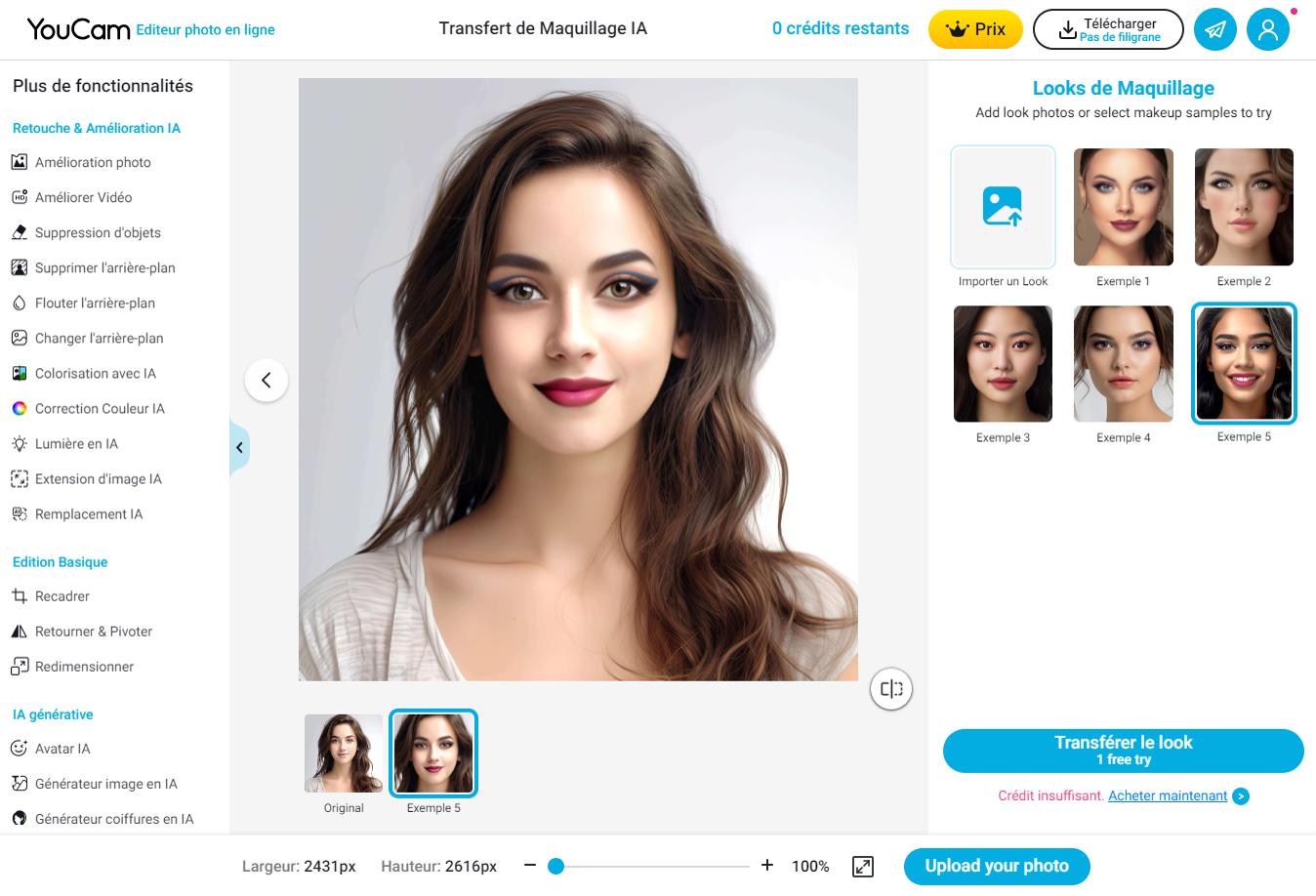 YouCam Online interface