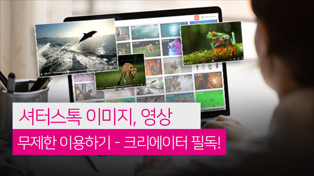 셔터스톡 요금제 + 무제한 이용 방법 총 정리(2025년 최신)