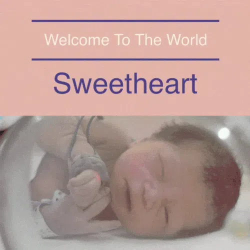 Modèle pour souhaiter un joyeux anniversaire