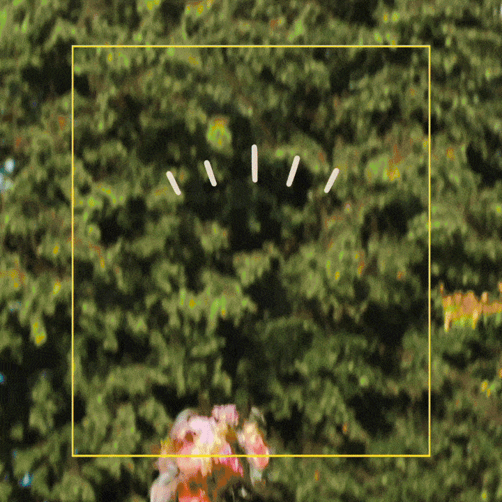 Modèle pour les vidéos de mariage