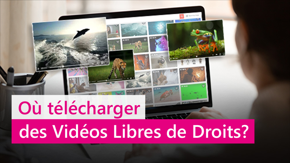 Les 5 meilleures banques de vidéo libres de droits en 2025