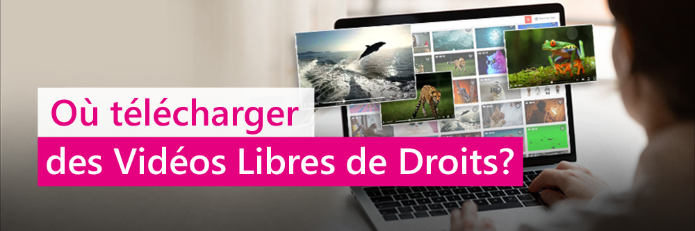 Musique Libre de droit