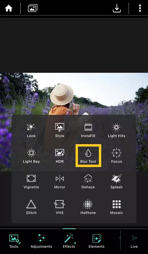 PhotoDirector - Blur Tool