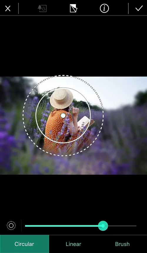 PhotoDirector - Blur Circular