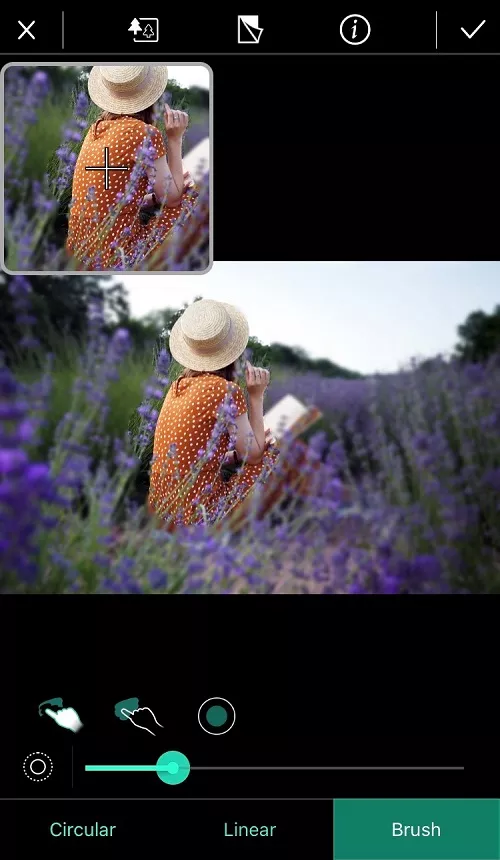 PhotoDirector - Blur Brush