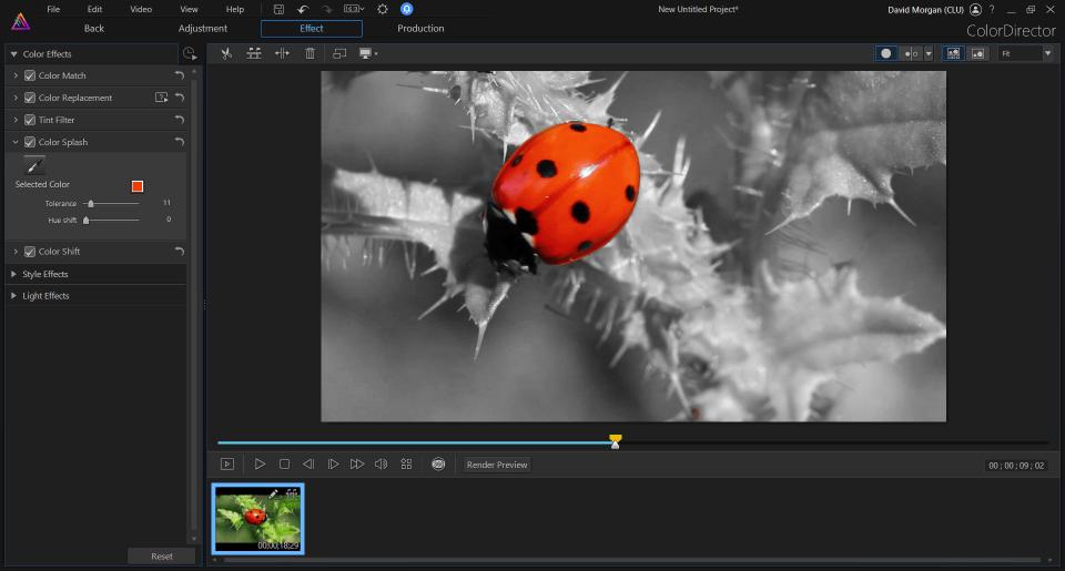 Color Splash after in ColorDirector