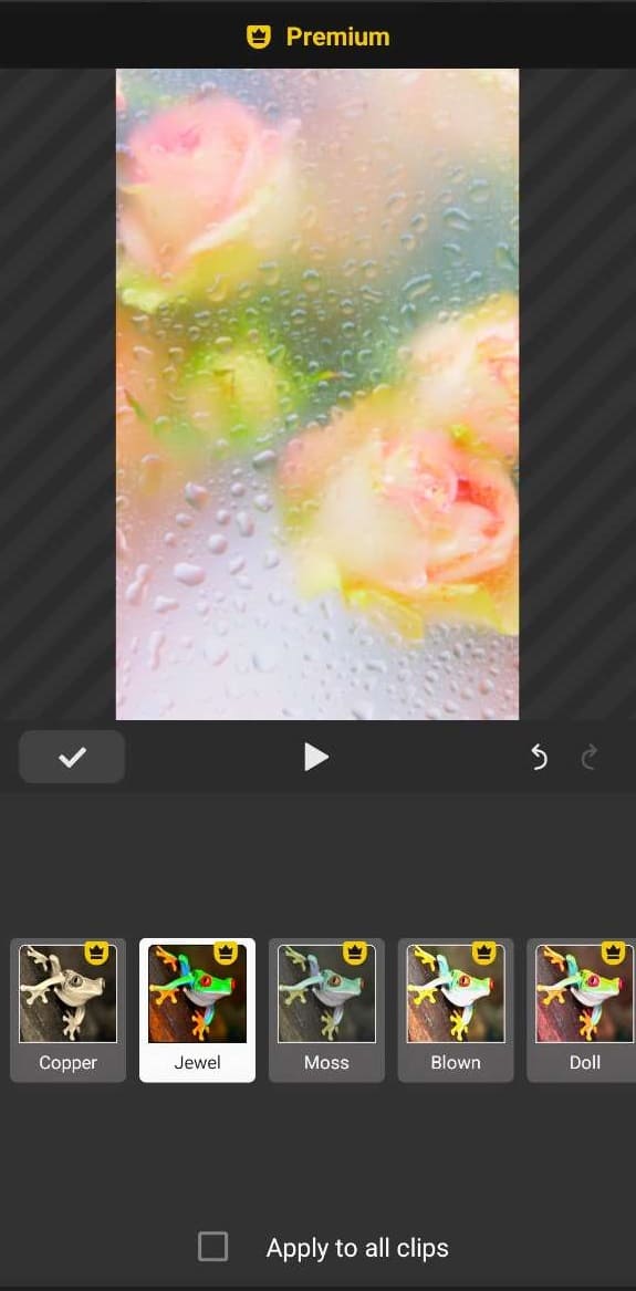 WeVideo App filtres video