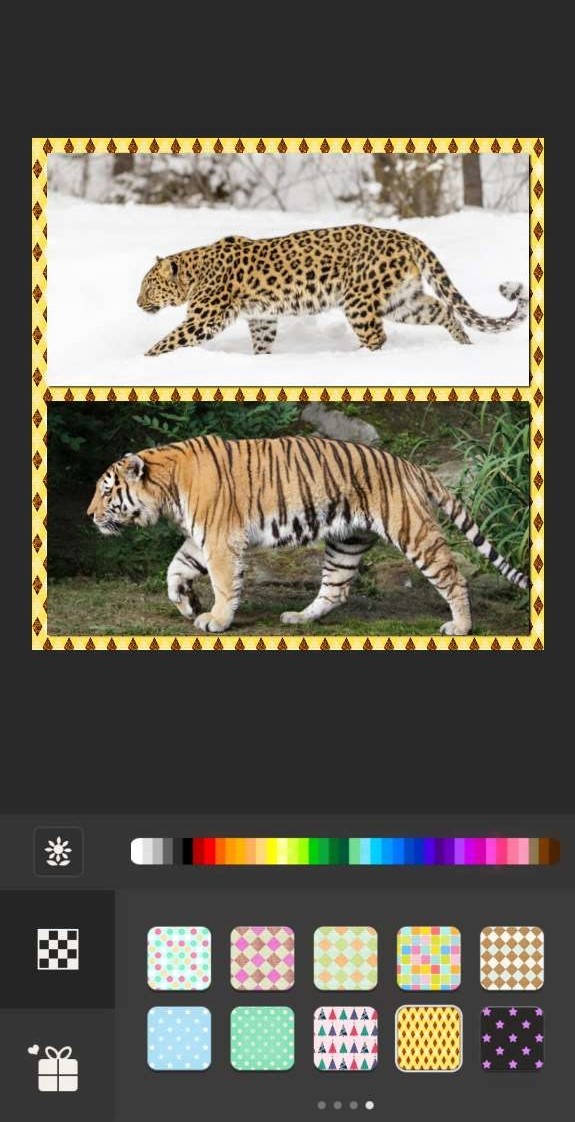 Moldiv Interface - Application collage photo