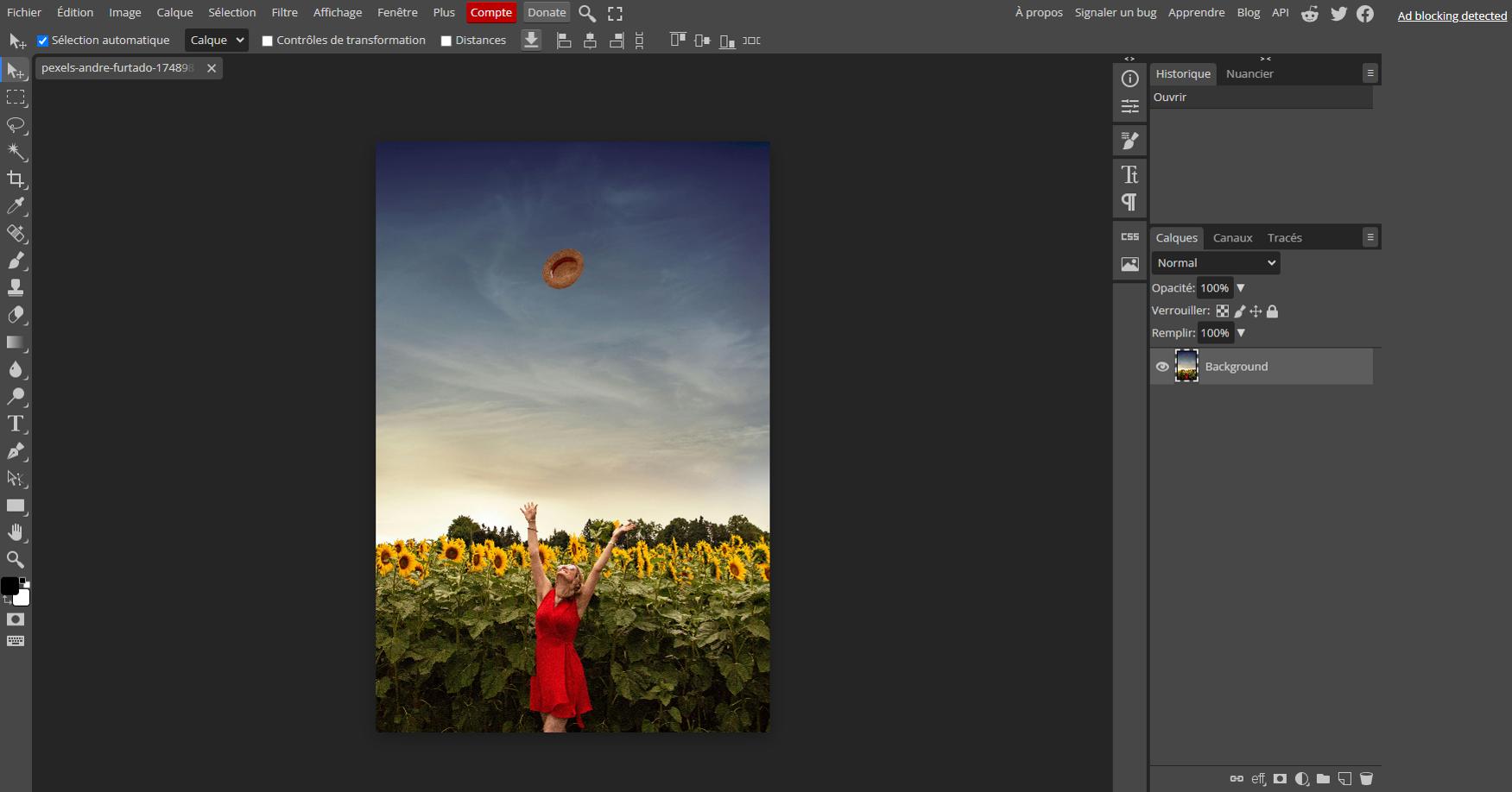 Photopea Interface - Site de montage photo en ligne