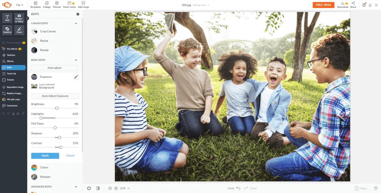 Picmonkey Interface - Site de montage photo en ligne