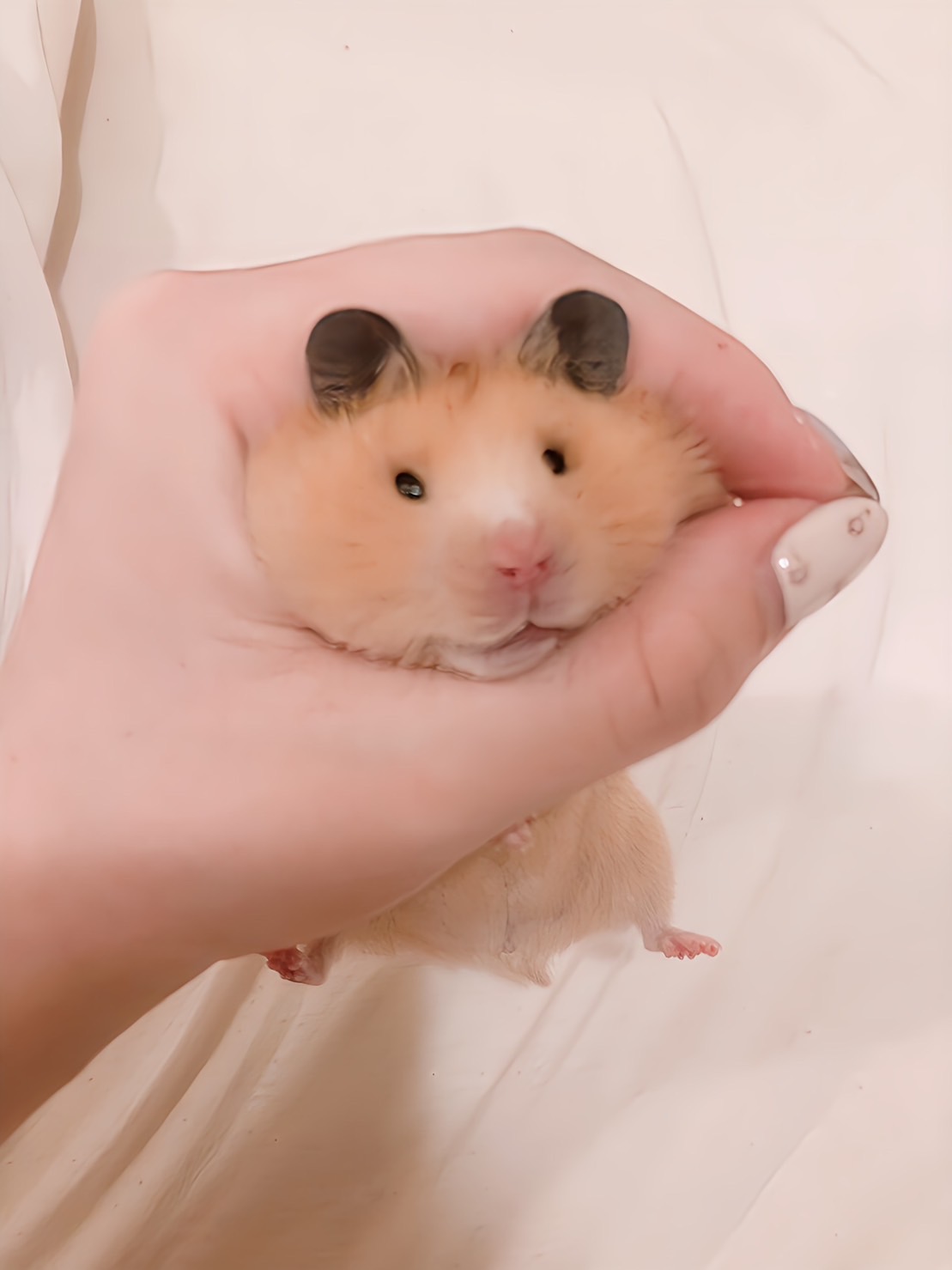 【照片修復後】