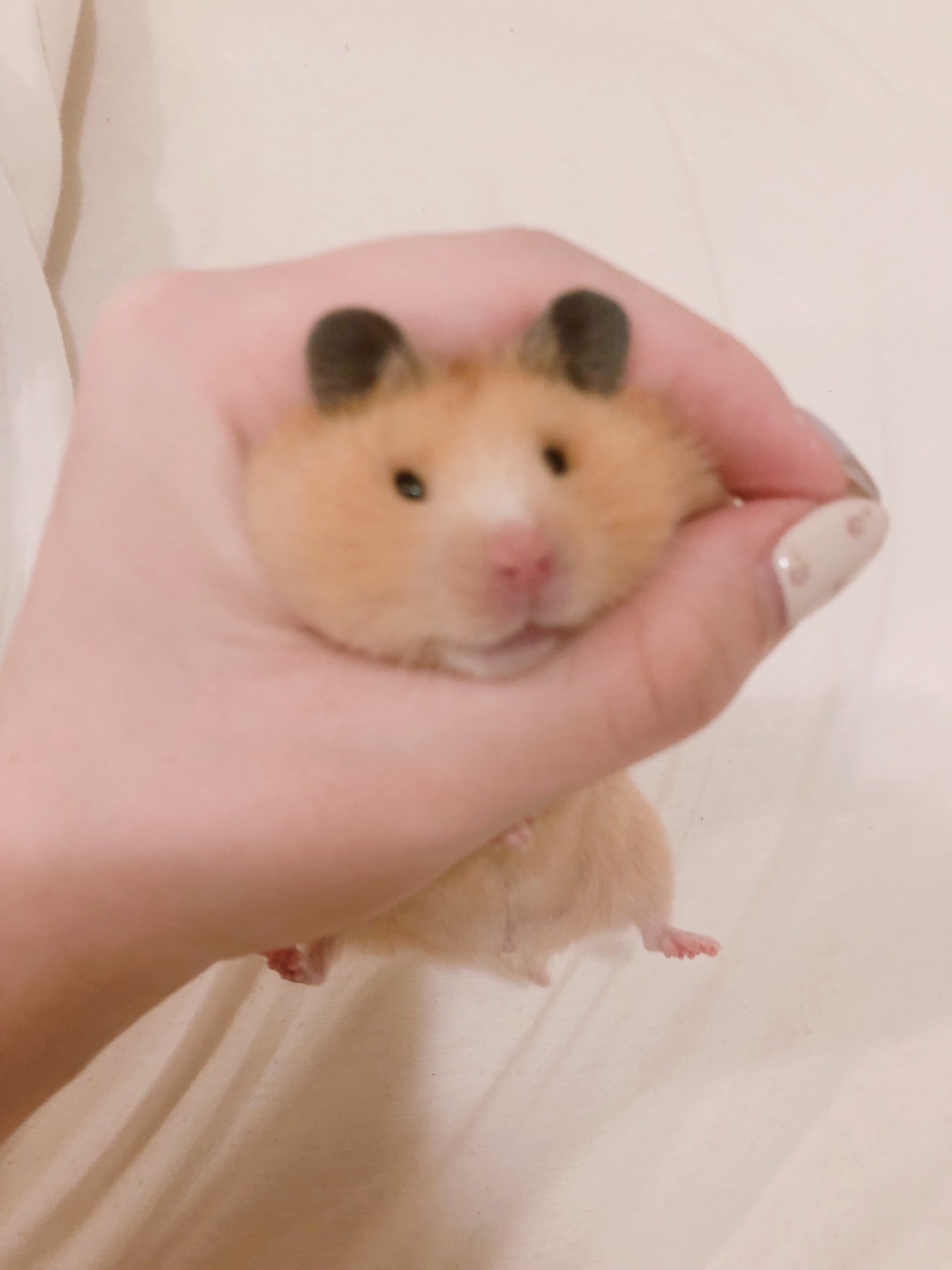 【照片修復前】