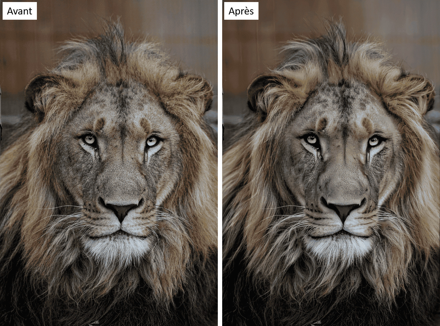 Améliorer la qualité d'une image en ligne