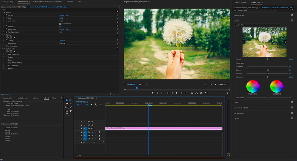 Adobe Premiere Pro