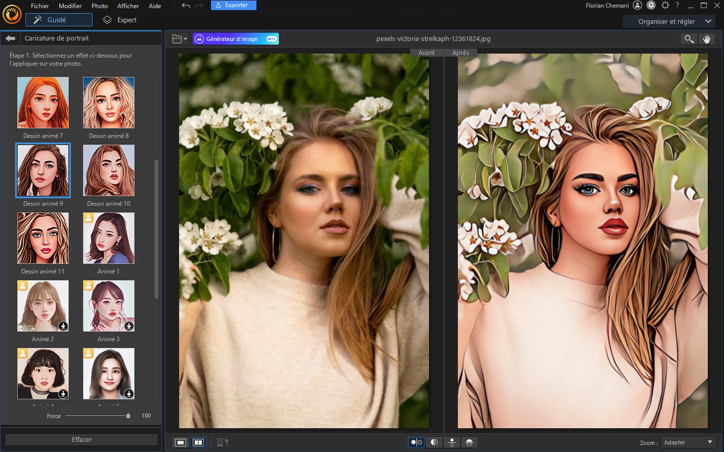 Photodirector Effet Cartoon sur PC