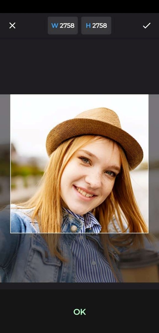 Avant Application de l'effet Cartoon avec ToonArt