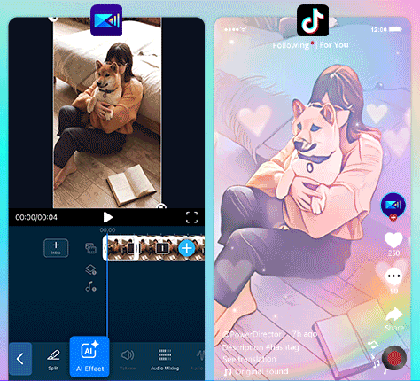 Truco para editar videos de TikTok - Caricaturizar tus videos