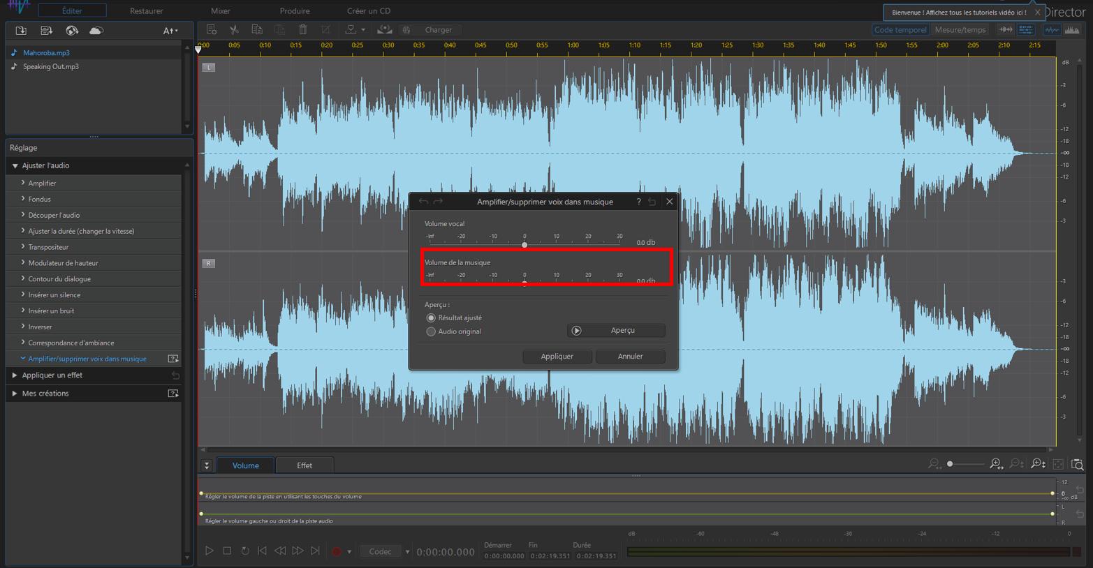Music Removal in AudioDirector