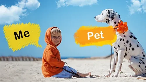 Comment ajouter du texte sur une photo? [Guide Complet]