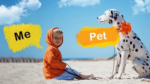 How to Add Text to Photo on iPhone & Android  