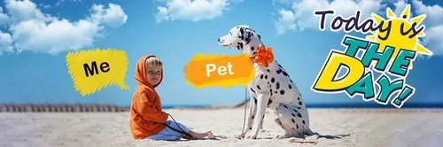 How to Add Text to Photo on iPhone & Android  