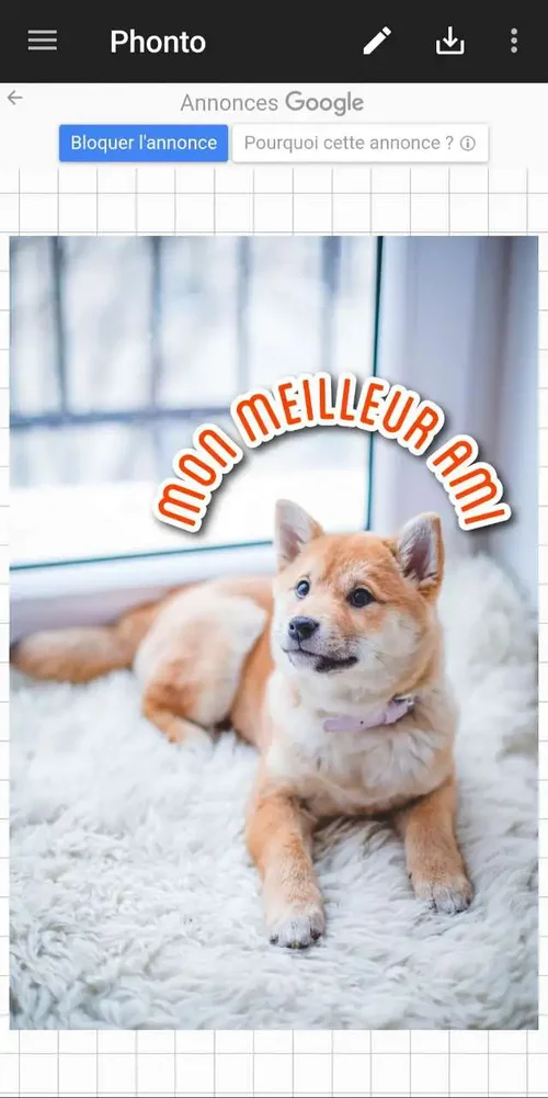 Phonto - Application pour écrire sur une photo