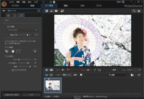 PhotoDirector ぼかしレベルの調整例