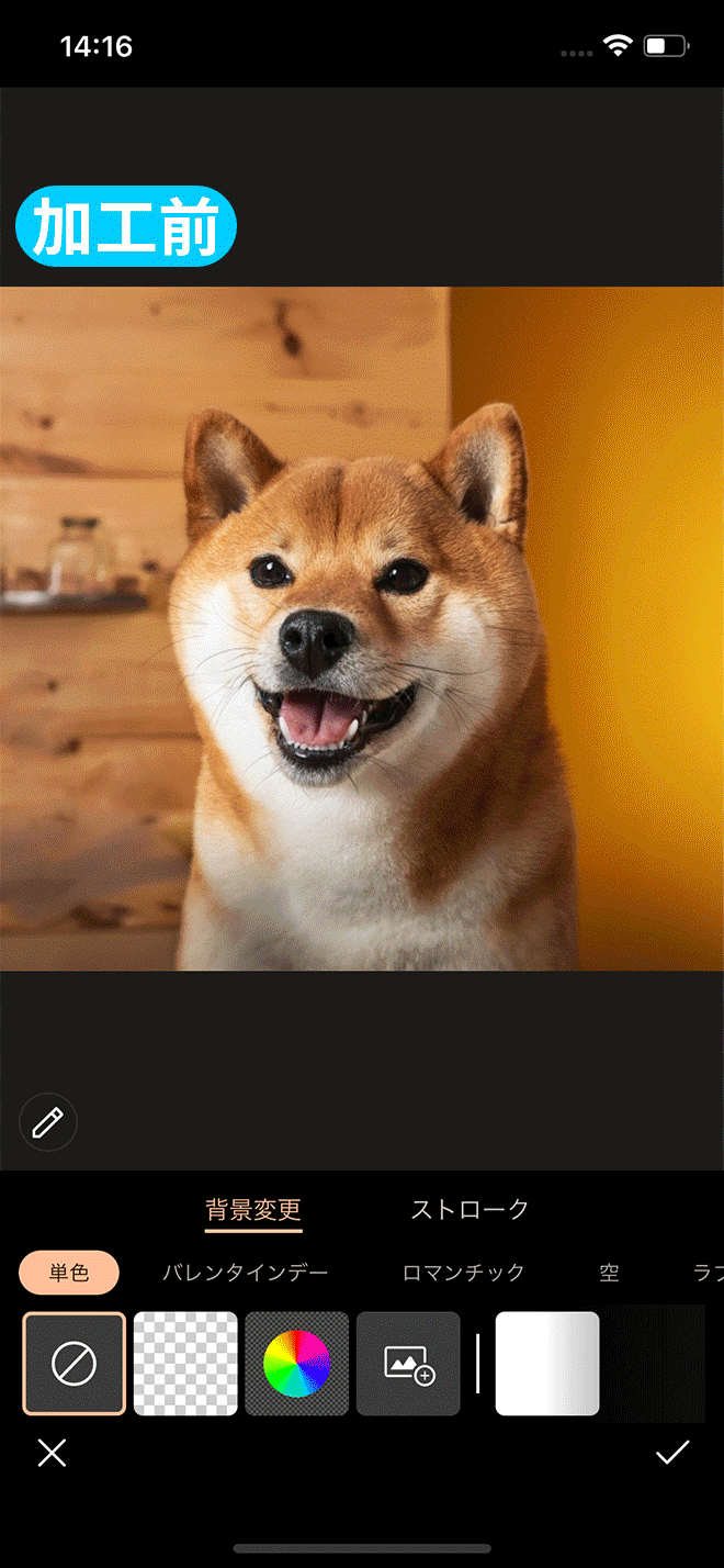 PhotoDirector 機能例