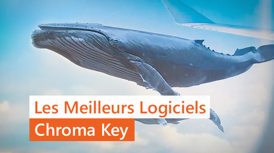 Les 5 meilleurs logiciels Chroma Key en 2025