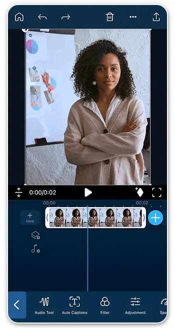 Figure Image