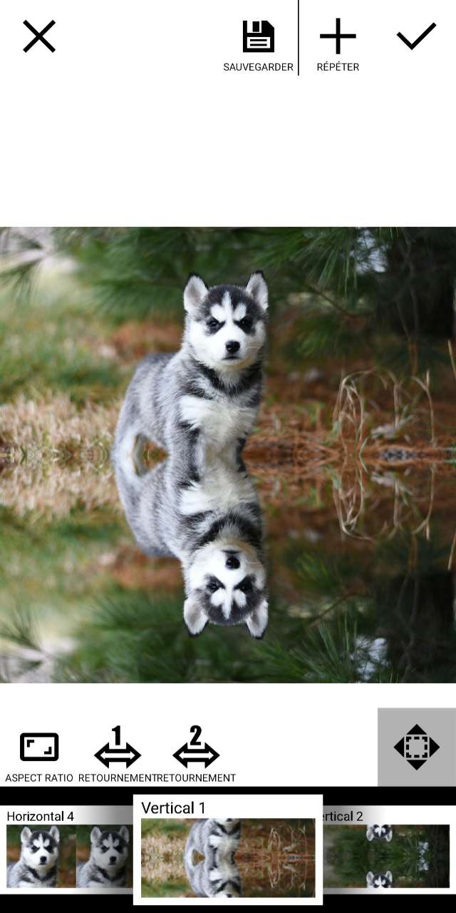 Mirror Lab - Application effet miroir