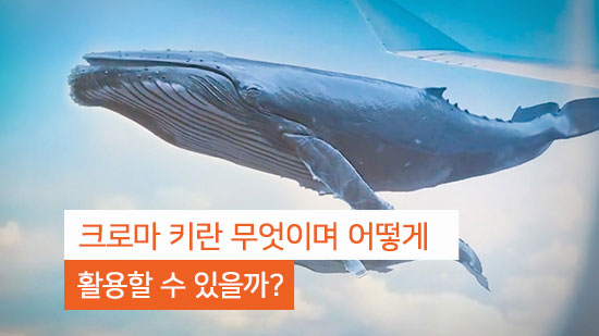 크로마 키란 무엇이며 어떻게 활용할 수 있을까?(2025년 최신)