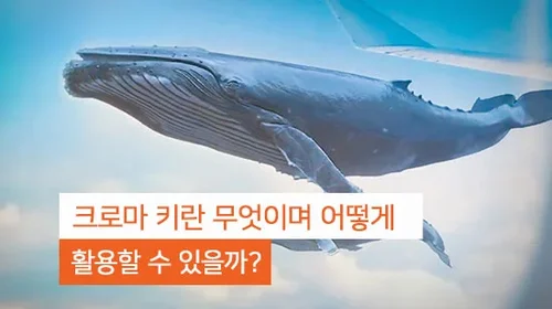 크로마 키란 무엇이며 어떻게 활용할 수 있을까?(2025년 최신)