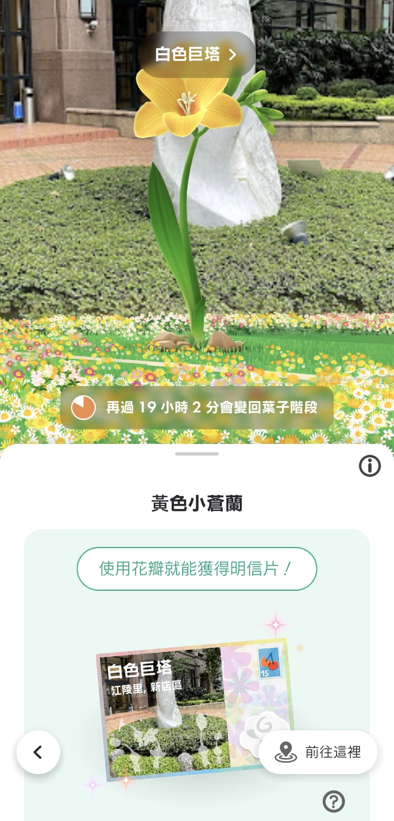 皮克敏大頭照明信片