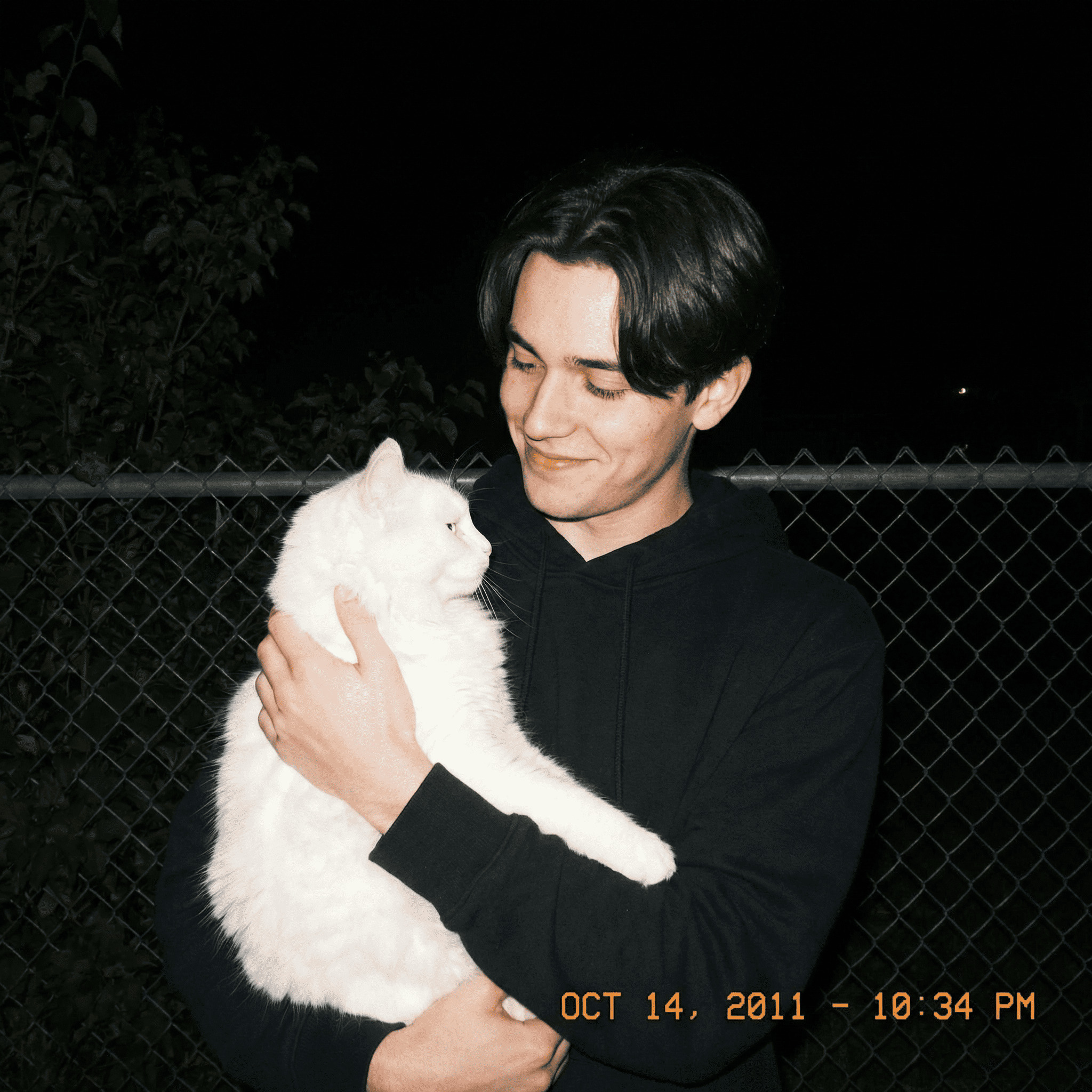 Candid night photo holding a white cat