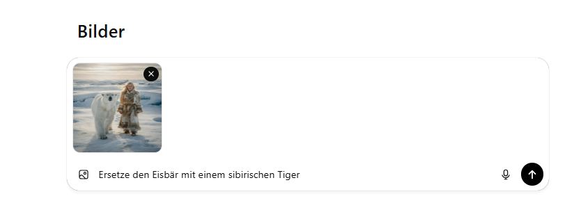 ChatGPT Bilder bearbeiten. Bild laden und prompten.