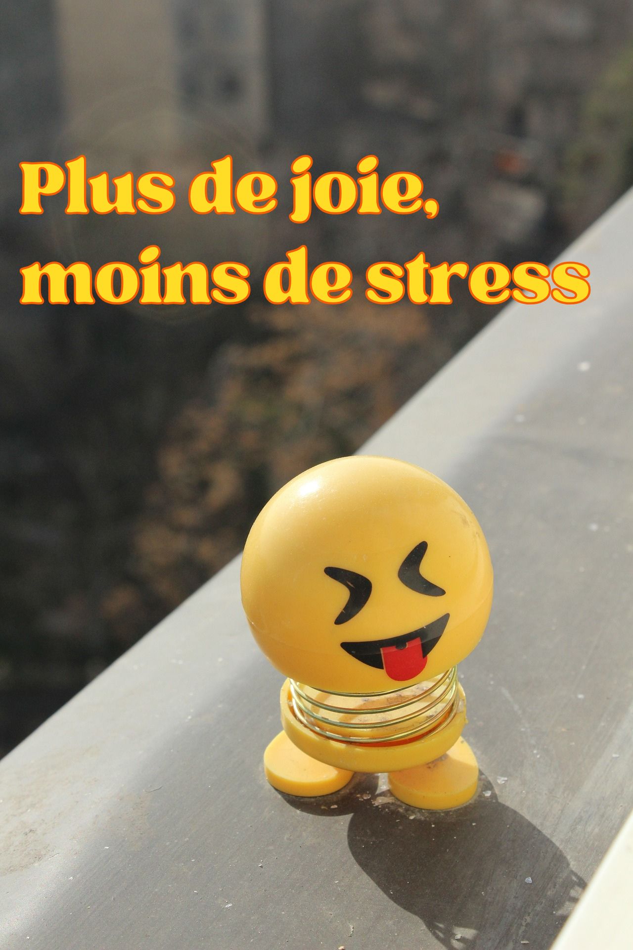 Citations bonheur courtes