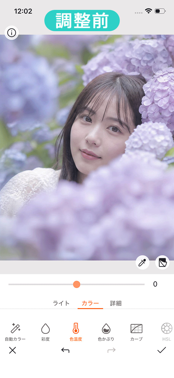 紫陽花ポートレート色温度調整