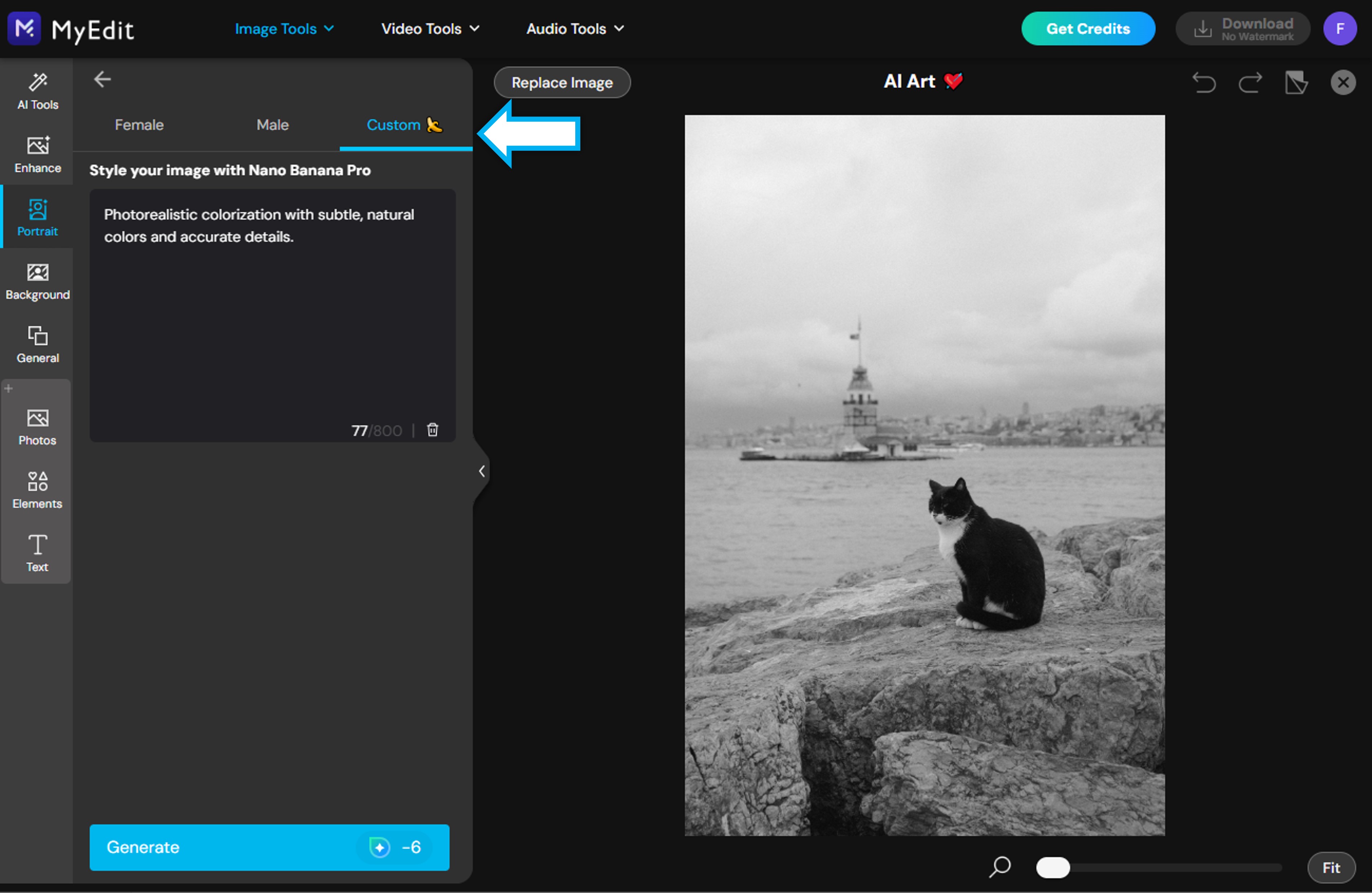 Colorize a photo tutorial - Step 3 